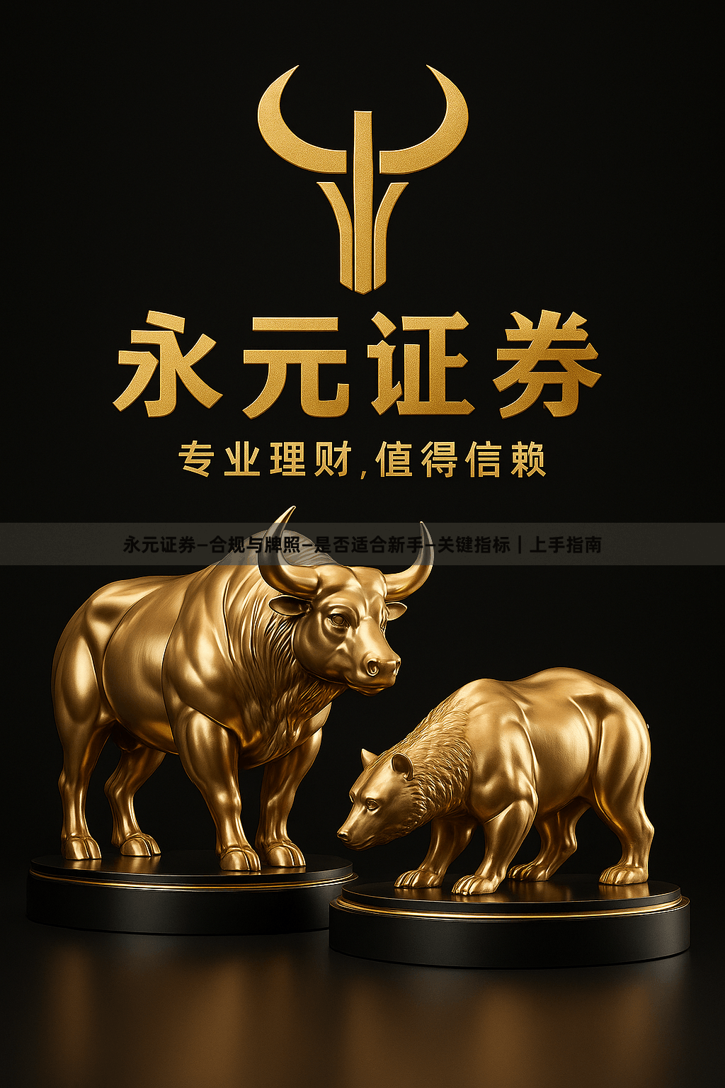 永元证券—合规与牌照—是否适合新手—关键指标｜上手指南