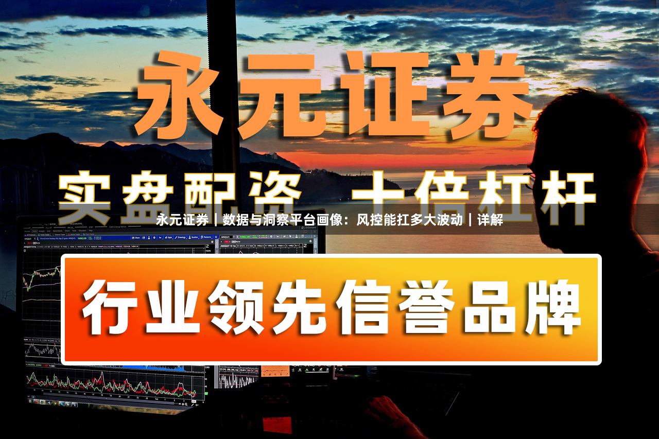 永元证券｜数据与洞察平台画像：风控能扛多大波动｜详解