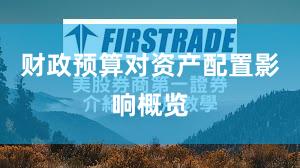 财政预算对资产配置影响概览