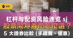 杠杆与配资风险速览 sj