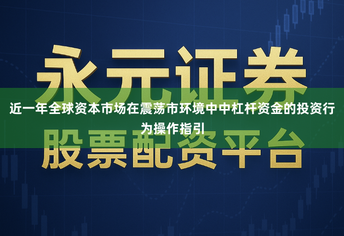 近一年全球资本市场在震荡市环境中中杠杆资金的投资行为操作指引